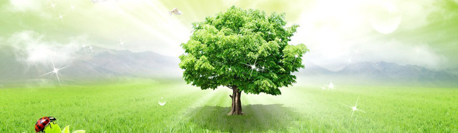 ���������˶�������������ƽ